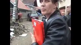 Danski ambasador