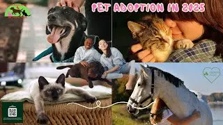 AI-Powered Adoptions: The Future of Finding Your Perfect Pet Match in 2025!