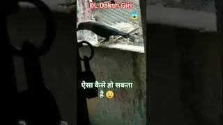 ||DL Daksh Giri||makar Sankranti #video #ytshorts #viral #newmusic #news #cutebaby #reels #cute.