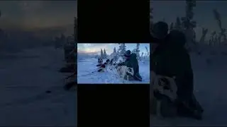 Dog Sledding in the White Mountains with Arctic Dog Adventure Co.