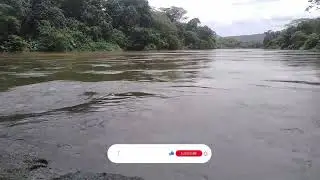 Rhythmic River Water Flow: Nature's Mindful Meditation for mind Relaxation