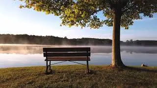 Deep Relaxing Ambient Wind Music On A Cold Morning On A Lake Side |4K |ASMR