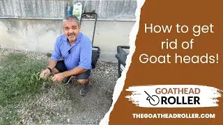 How to get rid of Goat Heads for good!  #goatheadremovaltool #thegoatheadroller