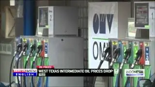 WTI Oil Price Plunges, OPEC Plans to Hold Emergency Meeting