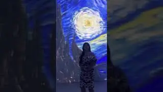 Van Gogh 360 experience. Subscribe to my channel for the full vlog #shortsfeed #shortsvideo #explore