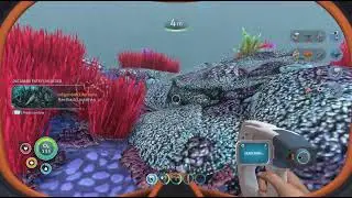 Subnautica_20260119142159