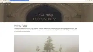 How to submit your portfolio URL through Blackboard