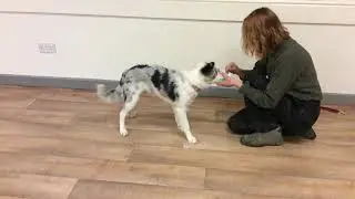 Passive Indication 1