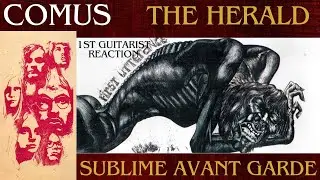 Guitarists 1st Reaction: Comus- The Herald: 1971- A Zenith Of Music? Utterly Captivating Musicality!