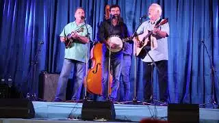 The Old Man In The Park - David Parmley, Larry Stephenson & Friends