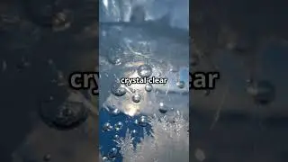 Baikal in Winter: Transparent Ice, Cracks & Magic! ❄️🔮