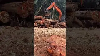 Hitachi zaxis200 susun kayu logs#alatberat#kayubalak#kerjakem#operatorindonesia