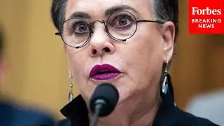 Harriet Hageman Presses Expert On Exploitation Of 'Loopholes' By Cartel Members On Tribal Lands