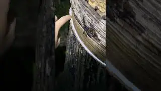 Rubber Harvest Process Step by Step Guidance