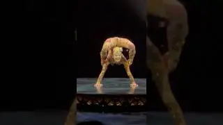 Cirque Du Soleil, Kooza! 8/3/24 #cirquedusoleil #kooza