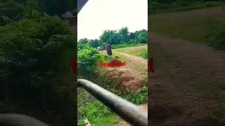 Beautiful nature