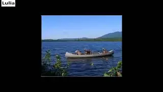 6 dogs in a canoe