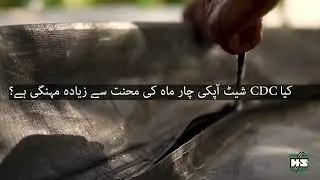 Dry your red chili in less time | Fast & safe drying method | Get rid of rain problems during drying