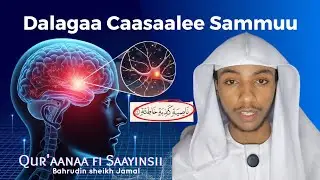 Qur'aanaa fi Saayinsii: Dubbii Saayintistoota Afaan qabachiifte 💀 || Bahrudin Sheikh Jamal
