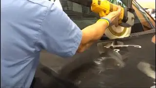 Paint overspray removal auto trim repair / The lowest cost / Paint Overspray Removal of Texas