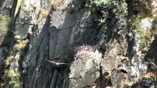 Vídeo promocional - Bragança 2014