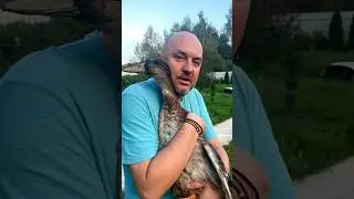 Можно мне подержать