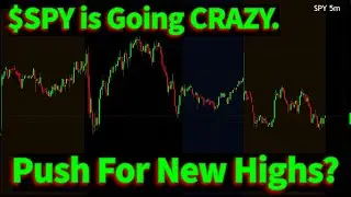 The Market Is Getting Crazy! $SPY Is Straddling MAJOR Support!
