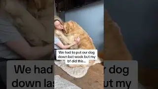 I know how it feels your dog memories slowly fading away🥺, that&rsquo;s why I created this orb.