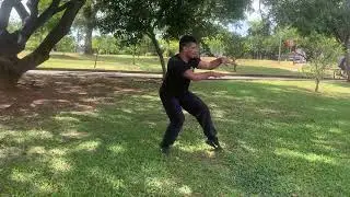 Fu Jow Pai Kung Fu Brasil - Forma Base do Tigre