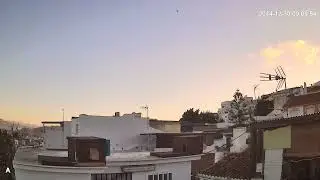 BUEN TRABAJO SIN CAPTURA DE PICHON MORADO.