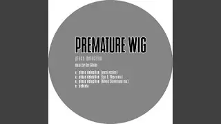 Place Detection (Igor O. Vlasov Remix)