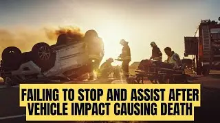 Failing to Stop and Assist After Vehicle Impact Causing Death