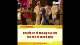 Có những lúc Chùa Giác Ngộ vắng tanh chỉ còn bình oxy và vài bịch rau củ