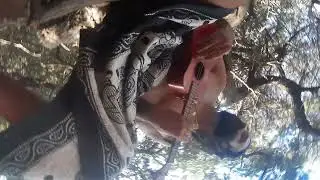 OSO BLANCO Canzone medicina ukulele