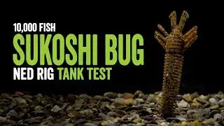 Sukoshi Bug: Ned Rig Underwater Tank Test