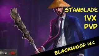 Stamina Nightblade 1vX - ESO Blackwood