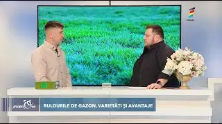 TOT CE TREBUIE SĂ CUNOAŞTEŢI DESPRE GAZON (RULOURI, SEMINŢE ŞI &Icirc;NSĂM&Acirc;NŢARE)
