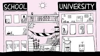 The Evolution of a Local Education Cluster