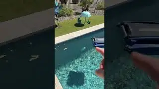 This Solar Pool Robot Cleans Like Magic!