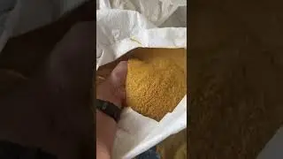 Yashika Proteins Corn DDGS || 30% Protein