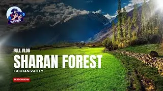 Sharan Forest || Kaghan || Full Vlog
