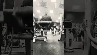 Leg Extensions (Leg Day)*10 Rep Count Per Set #videos #viralyoutubeshorts  #reelsvideo  #gymworkout