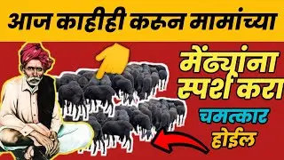 आज काहीही करून मामांच्या कपाळावरील केंद्रबिंदूला स्पर्श करा|बाळुमामां आदमापुर|balumama aarti