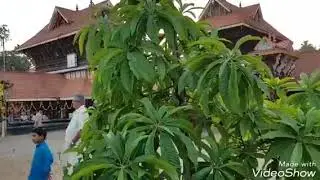 Sarkara Pamba  KSRTC .Sarkara devi temple