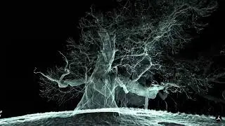 Chataignier de l'Eraudi&egrave;re - 3D