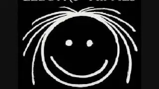 Electro Hippies - Am I Punk Yet?