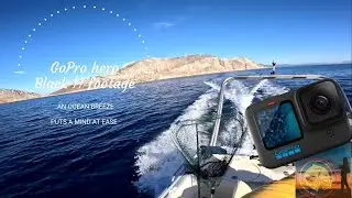 GoPro hero Black 11 footage plus bonus bonito! #fishingandstuff #fishing #fishinglife