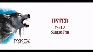 Usted - Panda (Letra) HD