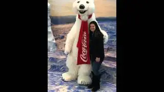 Bear at World of Coca Cola