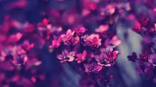 اغاني خليل جان كوباني اشترك في القناة ليصلك كل جديد